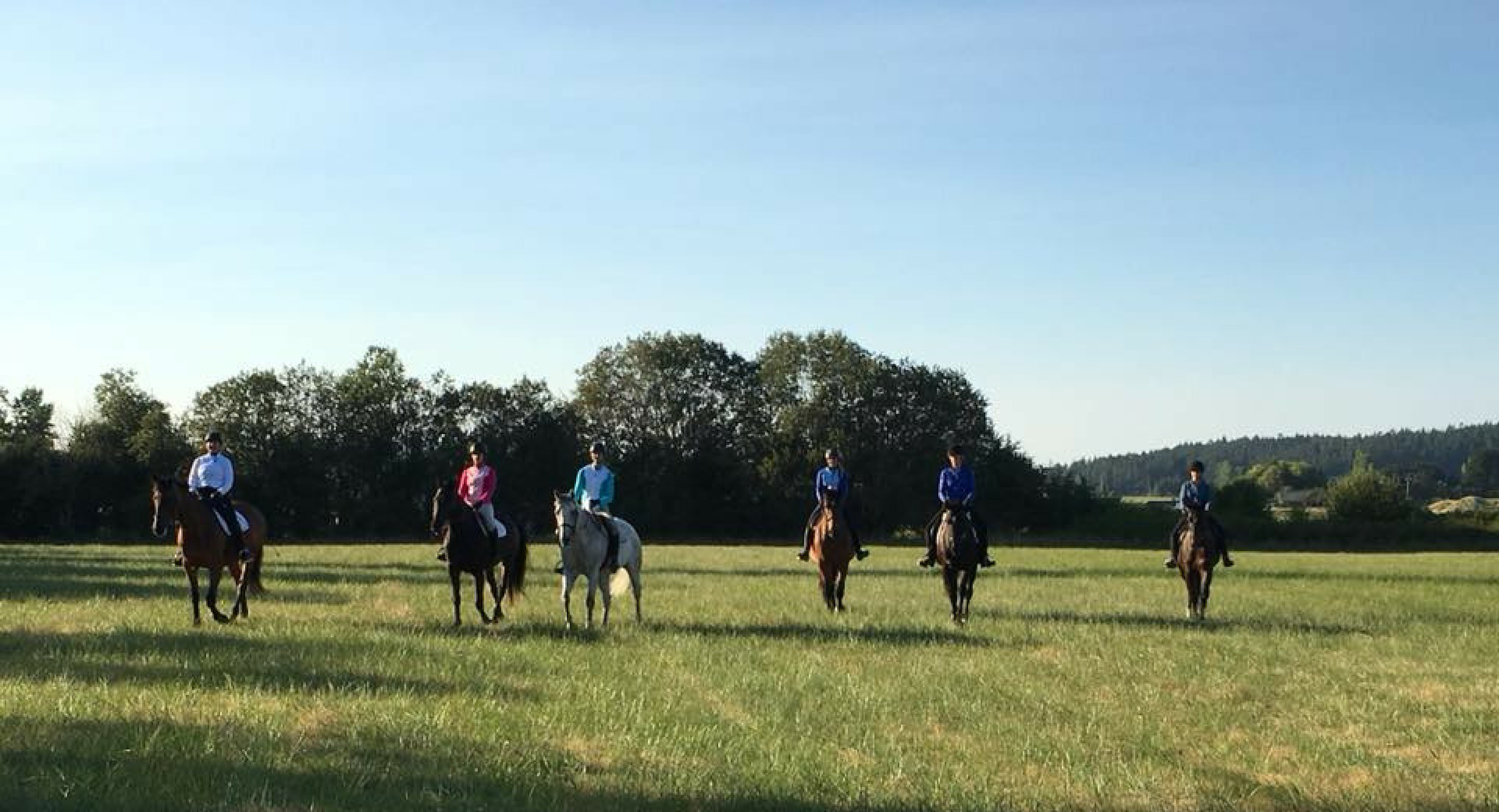 Danica Springs Farm Horse Boarding